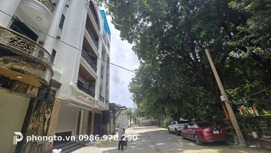 Studio Thú Y Nam Từ Liêm - PTGD-6114 (ảnh 2)