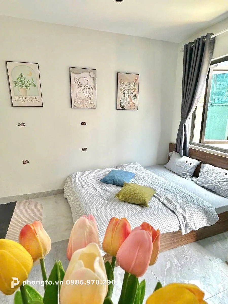 Studio Đình Thôn Nam Từ Liêm - PTGD-16522 (ảnh 2)